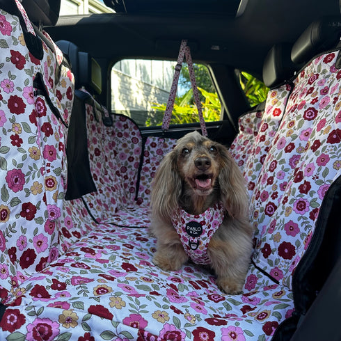 PABLO & CO. DELUXE HAMMOCK CAR SEAT COVER