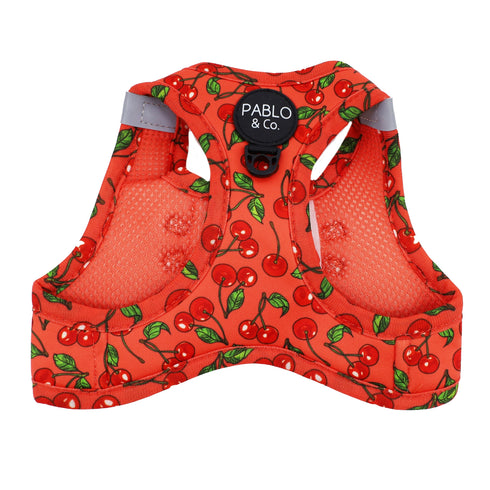 PABLO & CO. CAT STEP IN HARNESS