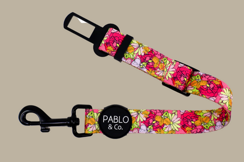 Pablo & Co. IN BLOOM Adjustable Dog Car Restraint