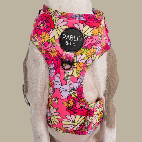 Pablo & Co. IN BLOOM Adjustable Dog Harness