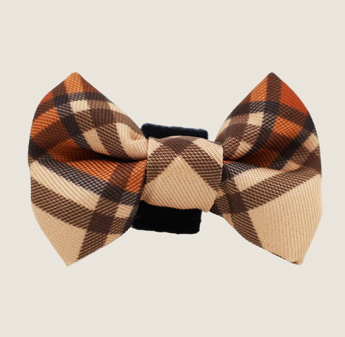 Kensington: Cat Bow Tie