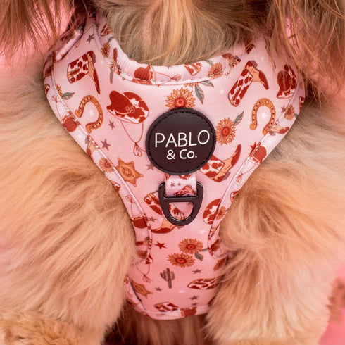 Pablo & Co. HOWDY Adjustable Dog Harness