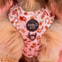 Pablo & Co. HOWDY Adjustable Dog Harness