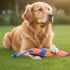 Georgie Paws SURFBOARD Dog Toy