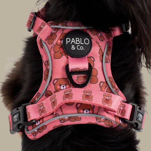 Pablo & Co. TEDDIES No Pull Adventure Dog Harness