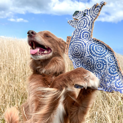 Outback Tails DESERT Dog Chew Toy - Stinky (Ngama)