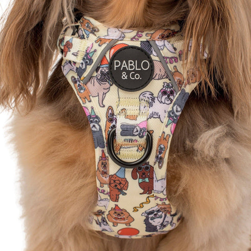 Pablo & Co. PARTY DAWGS No Pull Adventure Dog Harness