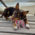 Outback Tails DESERT Dog Chew Toy - Trevor (Snake Dreaming)