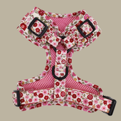 Pablo & Co. PRIMROSE Adjustable Dog Harness