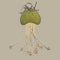 Georgie Paws JOE JELLYFISH Dog Toy - GRASS
