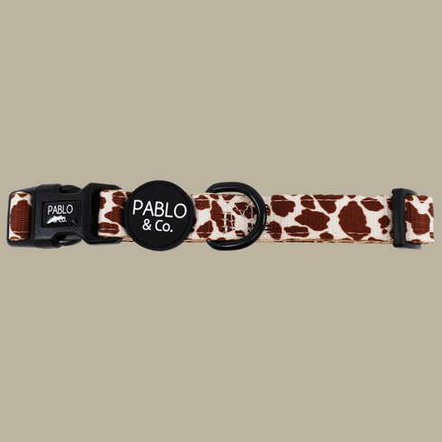 Pablo & Co. RODEO Dog Collar