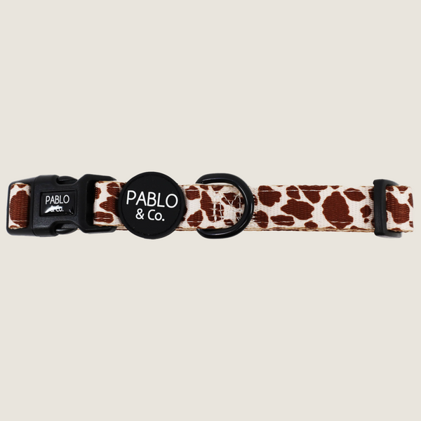 Pablo & Co. RODEO Dog Collar