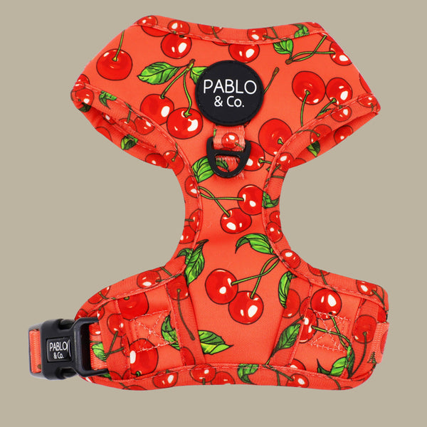 Pablo & Co. CHERRY Adjustable Dog Harness