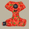 Pablo & Co. CHERRY Adjustable Dog Harness