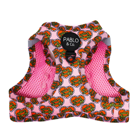 PABLO & CO. CAT STEP IN HARNESS