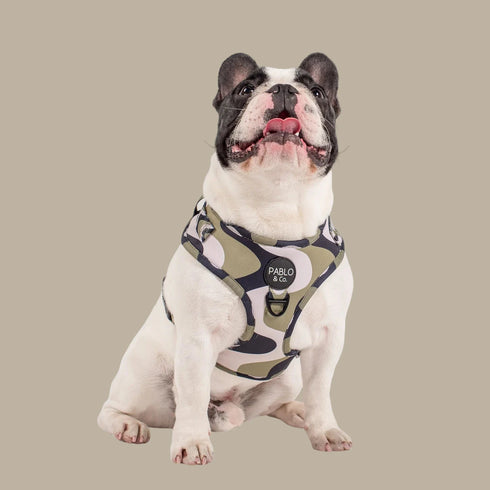 Pablo & Co. NAVY WAVY Adjustable Dog Harness