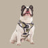 Pablo & Co. NAVY WAVY Adjustable Dog Harness