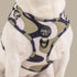 Pablo & Co. NAVY WAVY Adjustable Dog Harness