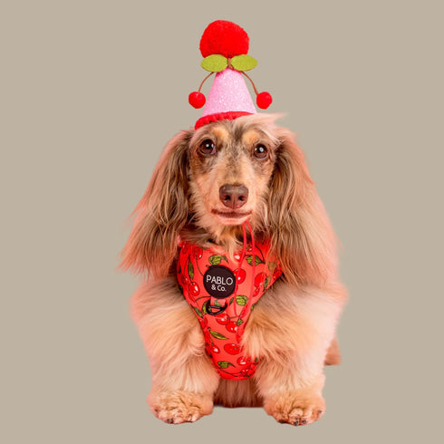 Pablo & Co. CHERRY Adjustable Dog Harness