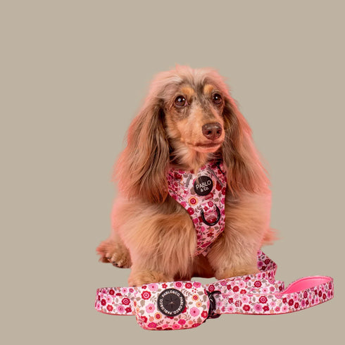 Pablo & Co. PRIMROSE Dog Poop Bag Holder