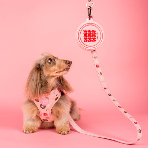 A small, fluffy dog with a light brown coat sits on a pink background, wearing a cute harness adorned with colorful patterns. A matching pink leash with a decorative clip is attached to the harness, adding to the playful aesthetic.