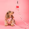 A small, fluffy dog with a light brown coat sits on a pink background, wearing a cute harness adorned with colorful patterns. A matching pink leash with a decorative clip is attached to the harness, adding to the playful aesthetic.