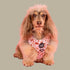 Pablo & Co. HOWDY Adjustable Dog Harness