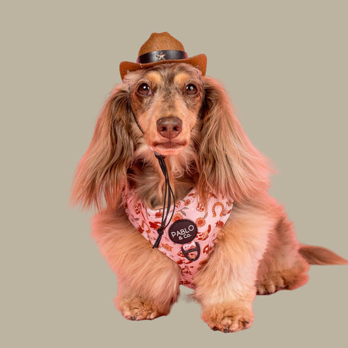 Pablo & Co. HOWDY Adjustable Dog Harness