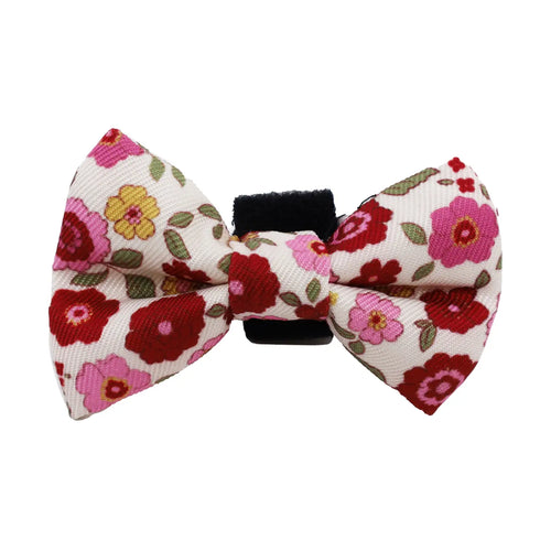 PABLO & CO. CAT BOW TIE