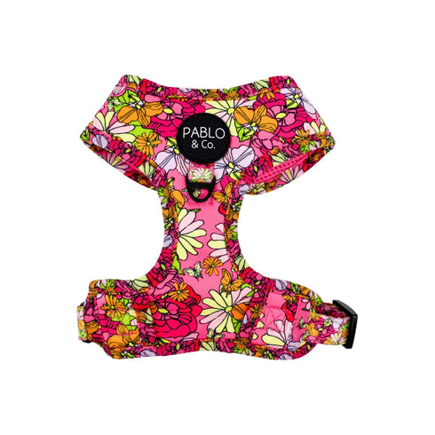 PABLO & CO. ADJUSTABLE HARNESS
