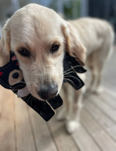 Outback Tails TASSIE DEVIL Dog Chew Toy