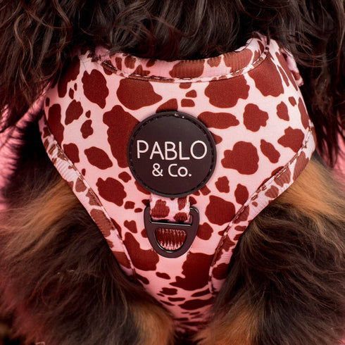 Pablo & Co. RODEO Adjustable Dog Harness