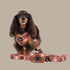 Pablo & Co. KENSINGTON Poop Bag Holder