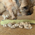 A small, brown dog sniffs a green, elongated dog toy shaped like a grub, featuring textured surfaces and knotted ends. The toy lies on a woven, tan surface, alongside the curious pup.