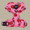 Pablo & Co. STRAWBERRIES Adjustable Dog Harness