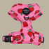 Pablo & Co. STRAWBERRIES Adjustable Dog Harness