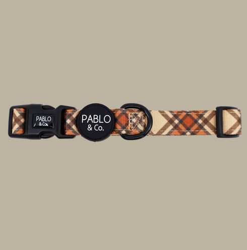 Pablo & Co. KENSINGTON Dog Collar