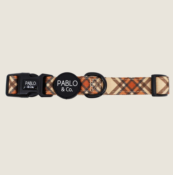 Pablo & Co. KENSINGTON Dog Collar