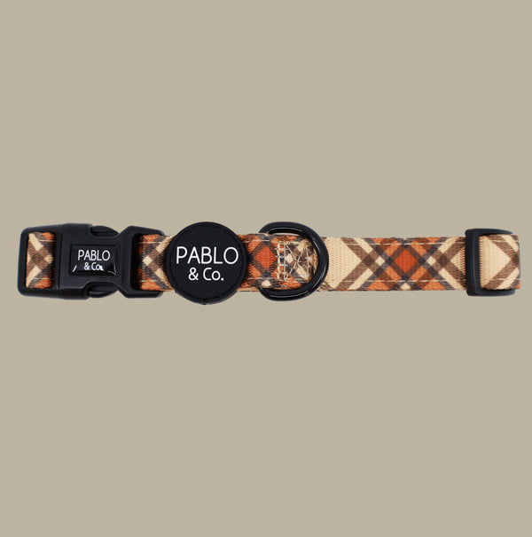 Pablo & Co. KENSINGTON Dog Collar