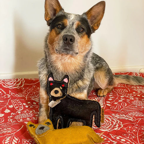 Outback Tails TASSIE DEVIL Dog Chew Toy