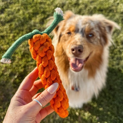 Country Tails CARROT Rope Dog Toy