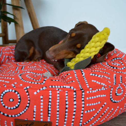 Country Tails SWEET CORN Rope Dog Toy