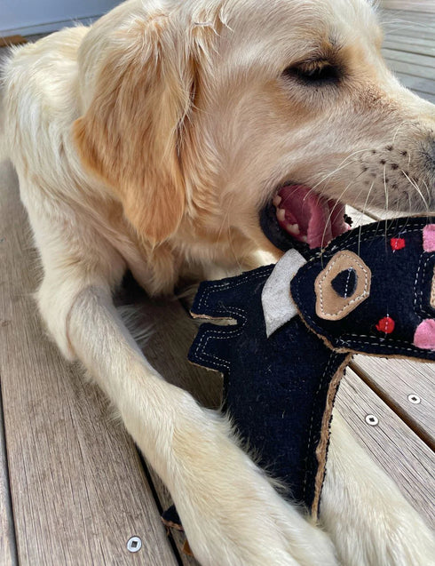 Outback Tails TASSIE DEVIL Dog Chew Toy