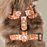 Pablo & Co. RETRO DAZIE Adjustable Dog Harness