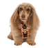Pablo & Co. RETRO DAZIE No Pull Adventure Dog Harness
