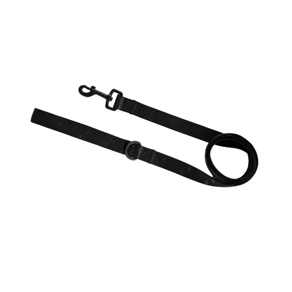 STYLISH HOUND BLACKOUT LEASH