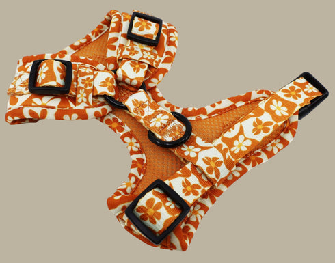 Pablo & Co. RETRO DAZIE Adjustable Dog Harness