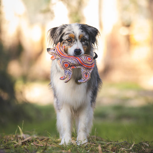 Outback Tails DESERT Dog Chew Toy - Trevor (Snake Dreaming)