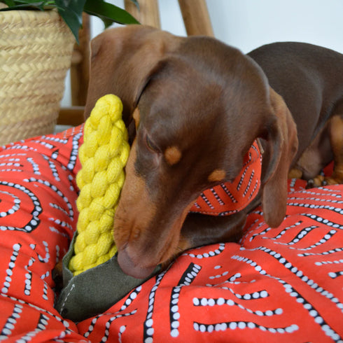 Country Tails SWEET CORN Rope Dog Toy