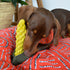 Country Tails SWEET CORN Rope Dog Toy